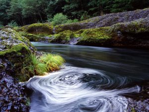 Swirling River